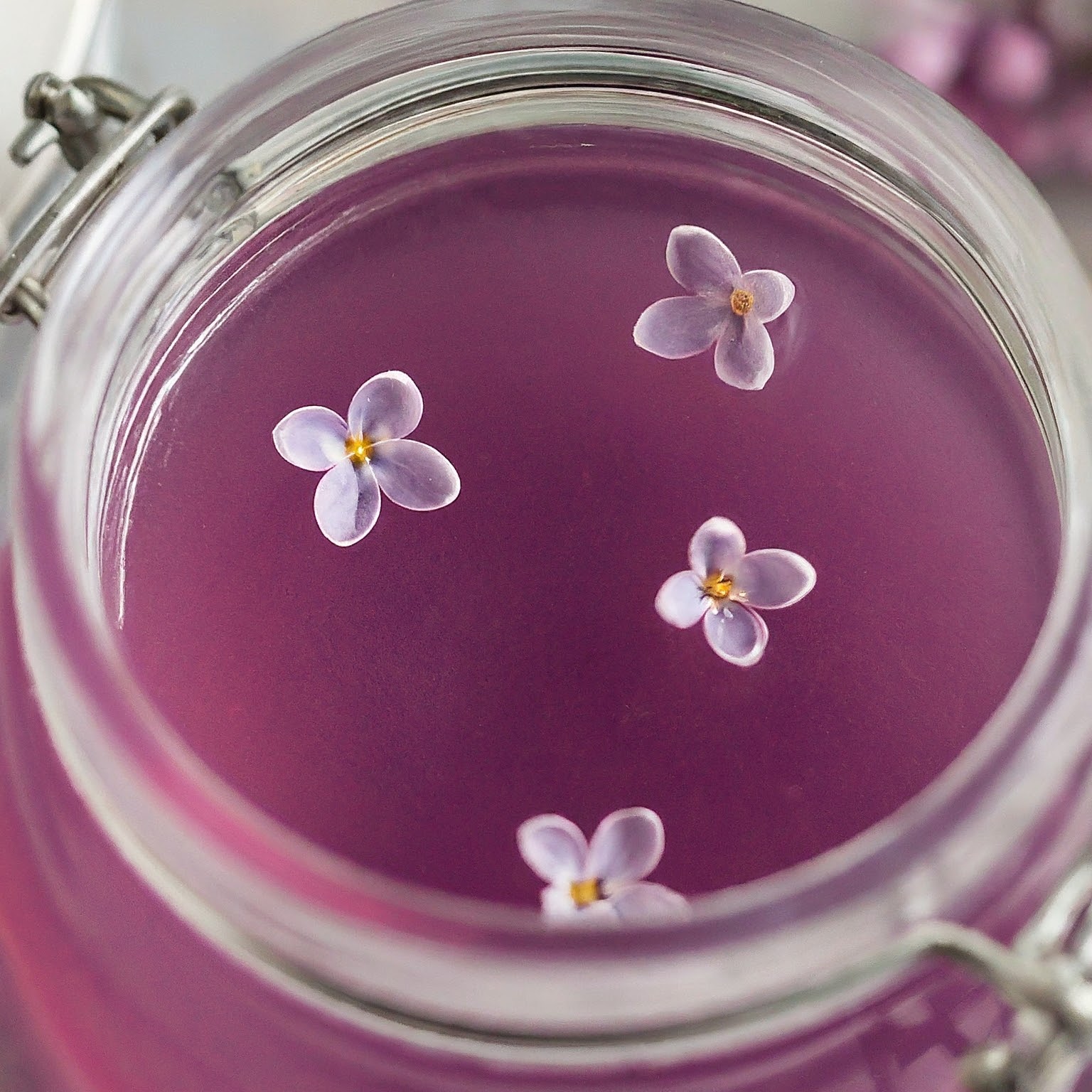 Lilac Jelly Recipe