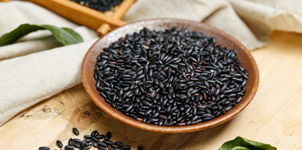 Where to Buy Wild Rice in Canada